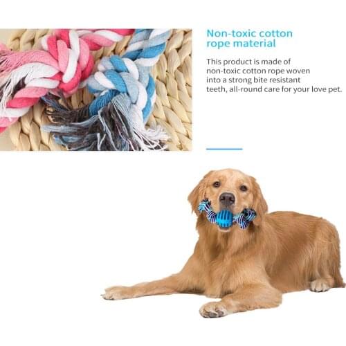 2021 Best Selling Products Stuffed Dog Toy Resistant Bite Interactive Plush Squealky Dog Chew Toy Pet Supplies Dog Favors