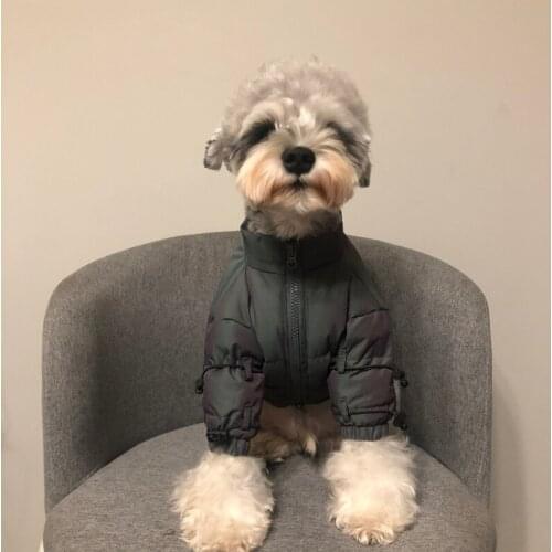 Dog Clothes Schnauzer Teddy Bichon Jarre Aero Bull Diesel Medium and Small Dogs Trendy Winter Warm down Jacket Coat
