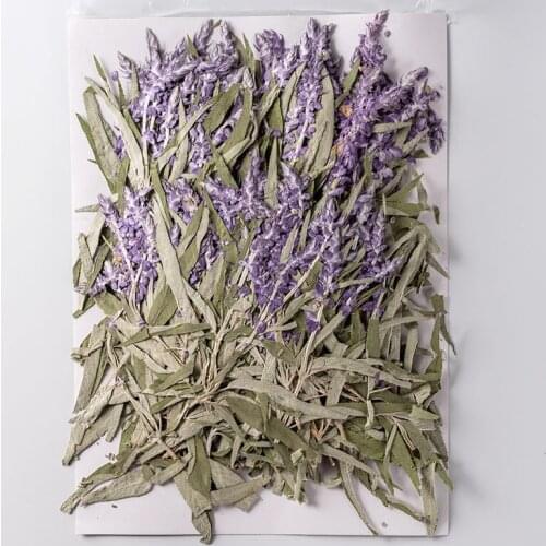 120pcs Pressed Dried Flower Salvia splendens var.atropurpura Herbarium For Make Up Nail Art Jewelry Bookmark Phone Case Card DIY