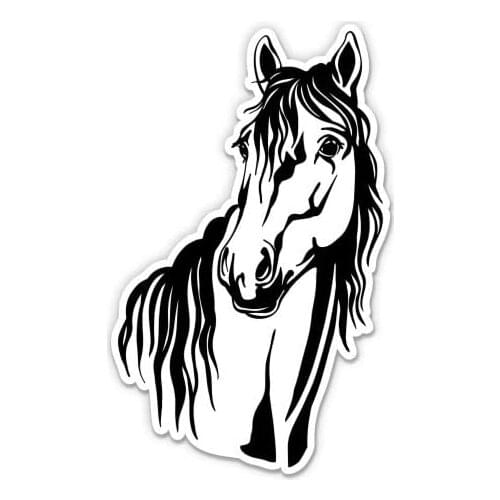 Express Horse Pretty - Vinyl Sticker Waterproof Decal