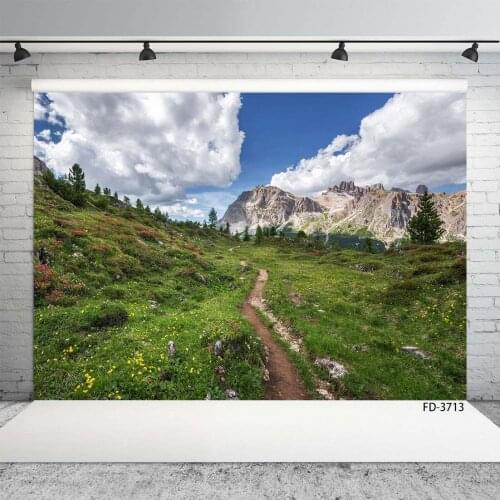 Wedding Baby Child Photography Hillside Flower Grass Mountain Cloud Sky Scenery Backdrop Photocall Photo Studio Background Props