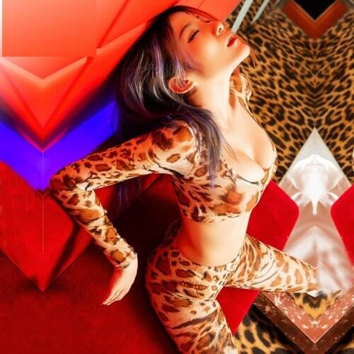 Sexy Hot Mesh Leopard Print 2PCS Set Zipper Open Crotch Skinny Pants Low Chest Top Transparent Thin Wild Sexy Nightclub Wear