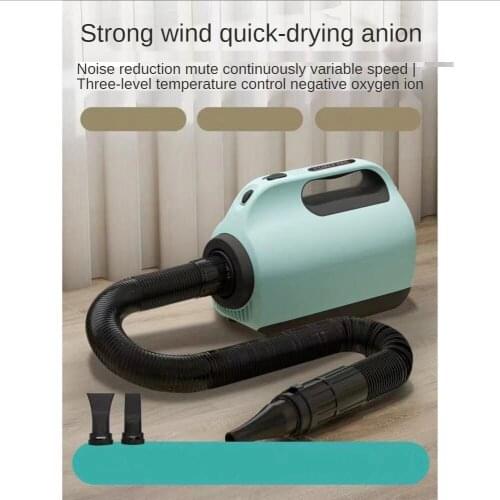 Pet Water Blowing Machine Cat and Dog Grooming Hair Blowing Machine High Power Hair Dryer Green Warm Air Dryer Pet Shop Supplies