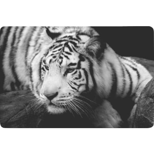 Wildlife Animal Anti-slip Door Mat Home Decor, Mysterious White Tiger Indoor Outdoor Entrance Doormat Rubber Backing