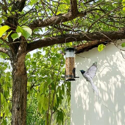 Hanging Bird Feeder Parrot Window Feeding Station Food Seed Container for Patio