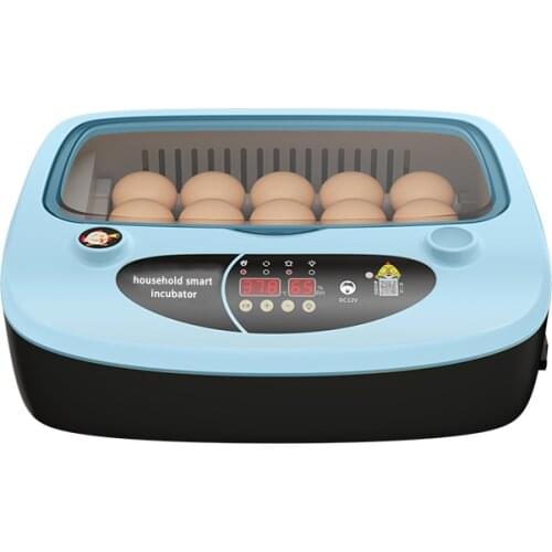 Weizhen Pet Supplies