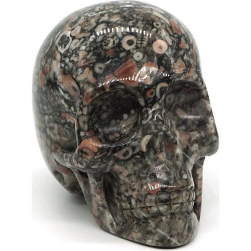 3"Crinoid Fossil Jasper Skull Stone Carved Chakra Healing Reiki Feng Shui Skull Decorative Crafts, Minerals
