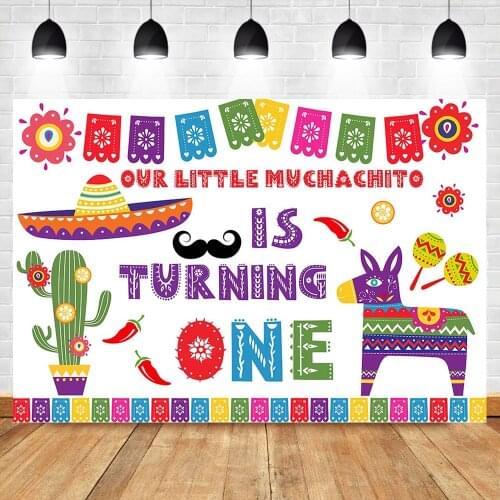 Mexican 1st Birthday Backdrop Muchachito First Birthday Photo Backdrop Color Flags Banner Backgrounds Photography Backdrop