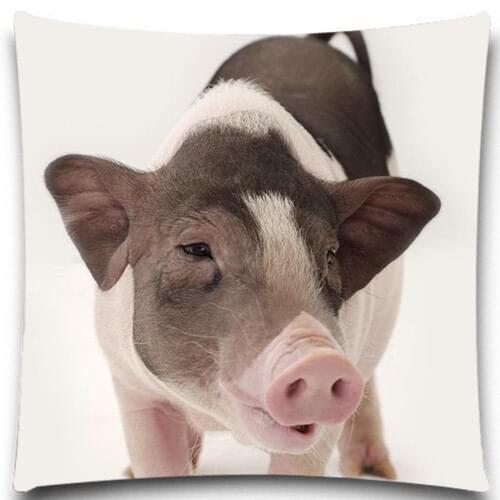 Cotton polyester Pillow Case 5 size 9 style Home Decorative Romantic Soft Bed Anniversary Animals black white pig pattern