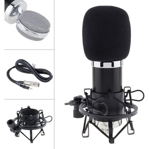 New Professional BM 5000 Condenser Microphone with Circuit Control and Gold-plated Large Diaphragm Head for Studio / KTV