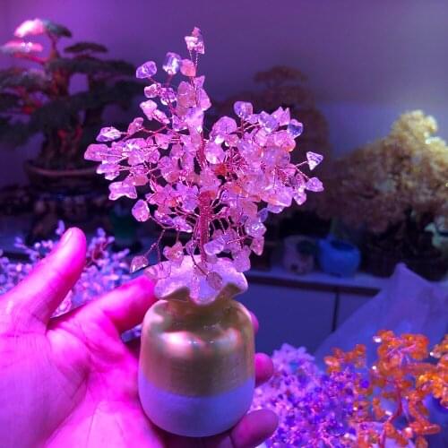 1pcs Quartz crystal gem for the holiday gift of wealth bay money tree