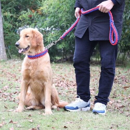 Double Strand Rope Large Dog Leashes Metal Chain Buckle Color Pet Traction Rope Collar Set For Big Dogs