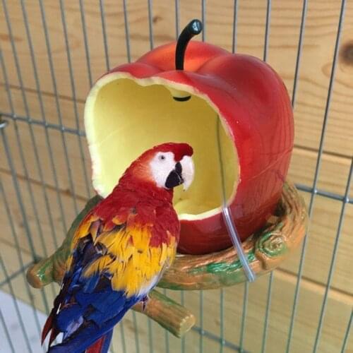 Birds Feeder Bowl Parrot Water Food Feeding Bowl Container Small Animal Drinking Feed Cup for Birds Cage Accessories