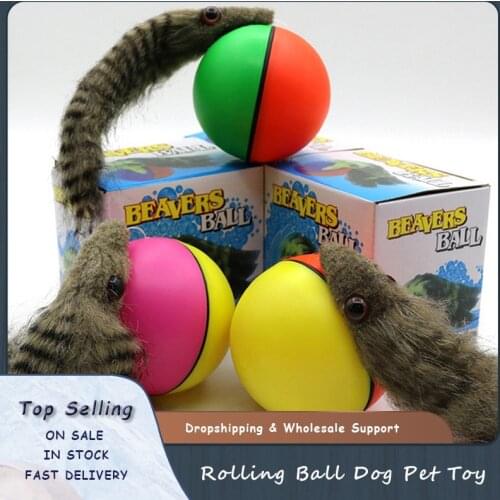 Pet Ball Toy Dog Weasel Motorized Funny Rolling Ball Cat Chasing Jump Toys for Pets Kids Chaser Jumping Moving Toy Drop Shipping