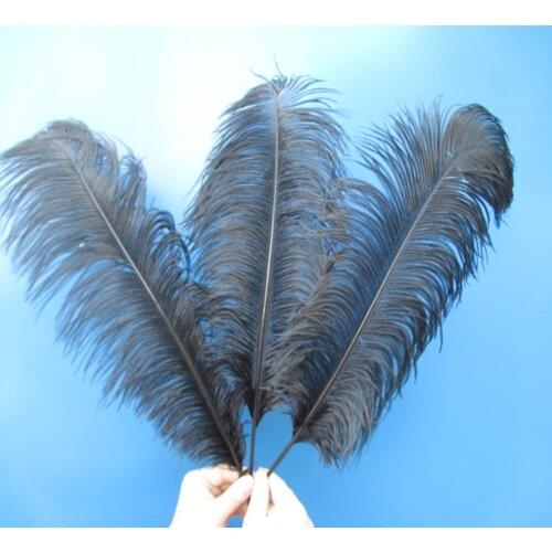 Cheap! Beautiful black ostrich feathers 100 pcs 14-16 inches / 35-40 cm Free Shipping