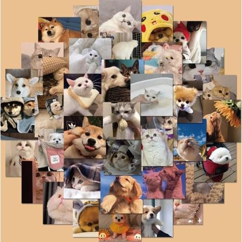 48Pcs cat and dog Graffiti Stickers For Children Toy Cartoon DIY Skateboard Suitcase Laptop Car Decal Sticker Waterproof