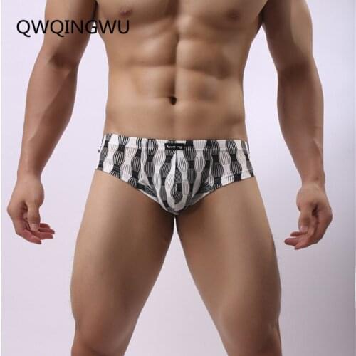 Promotion Underwear Men Sexy Briefs Adult Breathable Mesh Elastic Low Waist Spandex Underwear Underpants Apparel Newest Briefs