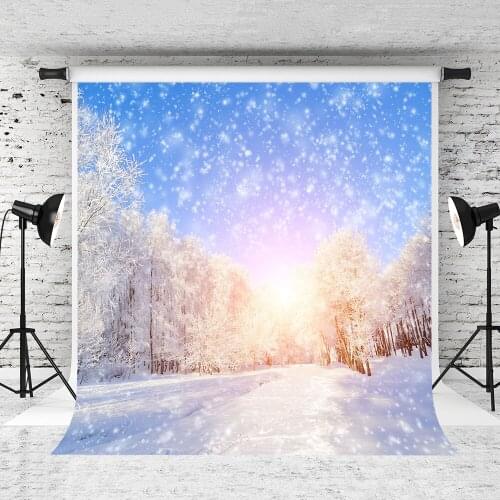 VinylBDS Winter Photography Background Romanticism Photo Backdrops Sunshine Snowfield Winter Backdrops For Children Photo Studio