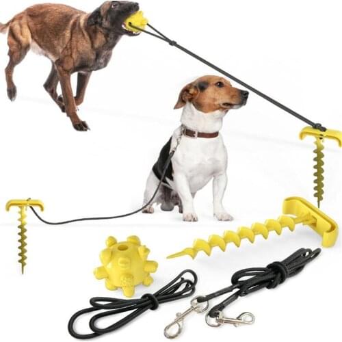 N06 Dog fixed columns durable bone dog chew toys