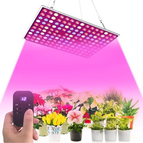 COB LED Grow Light UV Quantum Tech LED Board 300W Full spectrum Dimmable Indoor plant lights With Intelligent timing controller
