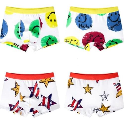 2Pc/set Kids Boys Underwear Panties for Baby Boy Boxers Cartoon Childrens Shorts Teenager Underpants 4-14T