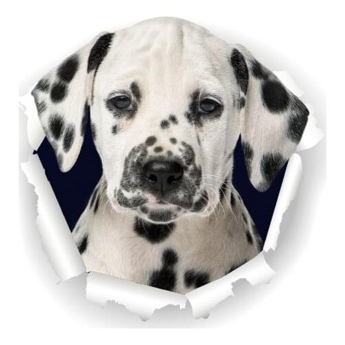 Three Ratels 3D Spotted Dog Stickers Super Staffie decal on Wall Fridge Toilet car bike