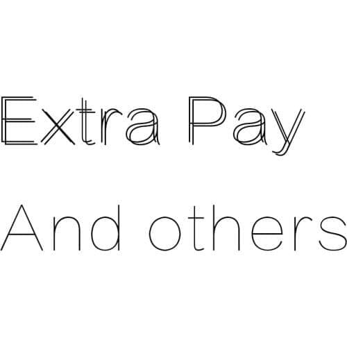 Repay / DHL - EMS Fast Shipping cost