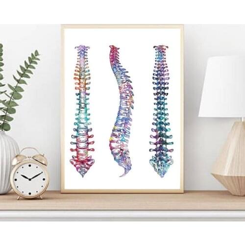 Human Spine Anatomy Wall Art Canvas Painting Posters Print Watercolor Spinal Biology Vertebral Living Room Decor Home Decoration