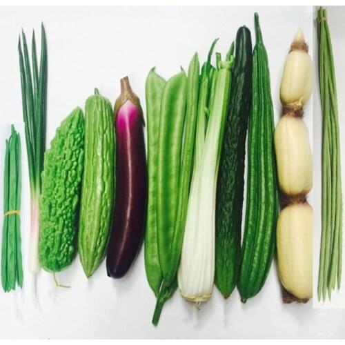 Fake Vegetable Artificial Simulation Food Fruit Kitchen Diy Craft Home Birthday Party Halloween Decoration Thanksgiving