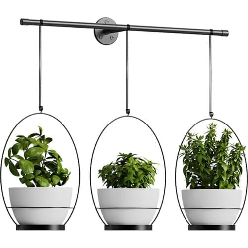 Hanger Hanging Planter Flowerpot Holder for Indoor Plants Cactus Succulent Garden Pots Planters Wall Plant Holder Hanging Basket