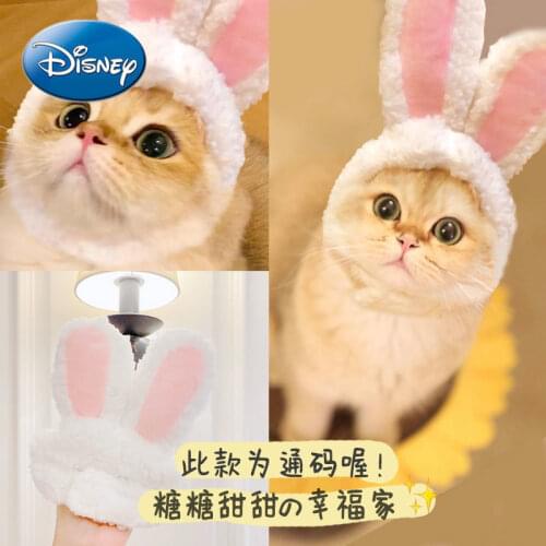 Disney Pet Cat Hat Headgear Teddy Pomeranian French Fighting Puppy Douyin Funny Hat Dog Hat Headwear Supplies