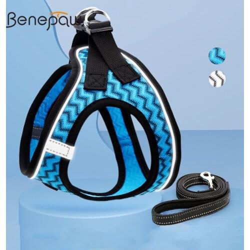 Small cat, dog vest and leash set, dog leash, anti-stroke, reflective dog chest and back, cat leash