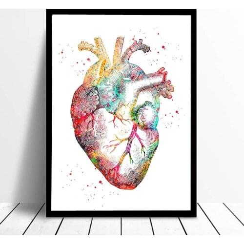 Watercolor Anatomy Heart Wall Art Canvas Painting 6 Posters and Prints Wall Pictures Medical Doctor Clinic Decor Frame