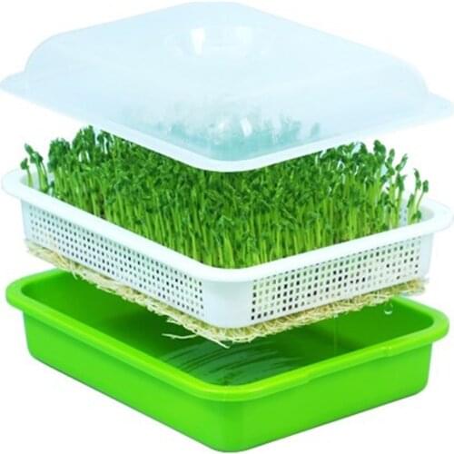 Seed Sprouter Tray BPA Free PP Soil-Free Big Capacity Healthy Wheatgrass Grower with Cover Seedling Tray Sprout Plate Hydroponic
