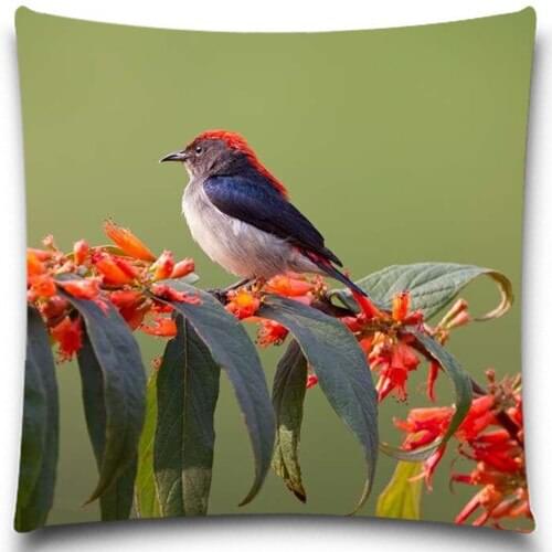 Square pillow cover 2D print bird pattern cotton polyester pillow case 5 size 9 style sofa cushion cover