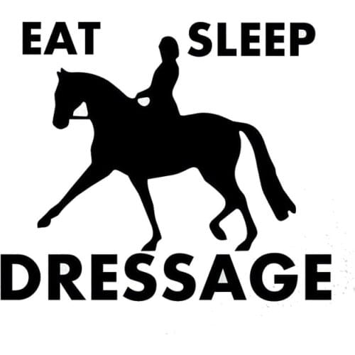 11.5cm*10cm Car Styling Sleep Dressage Eat Personality Fashion Vinyl Car Stickers C5-1958