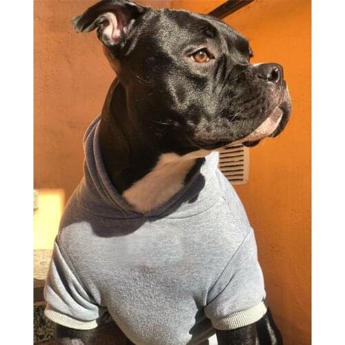 Letter Print Cotton French Bulldog Hoodies for Pug Cosutme S-2XL PC1424