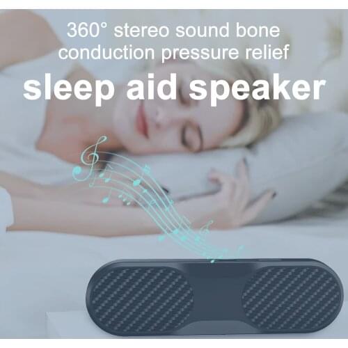 SS Portable Speakers