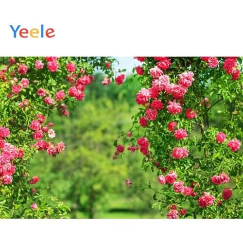 Wedding Photocall Flower Park Garden Nature Scene Baby Portrait Vinyl Backdrop Photography Background For Photo Shoot Photophone