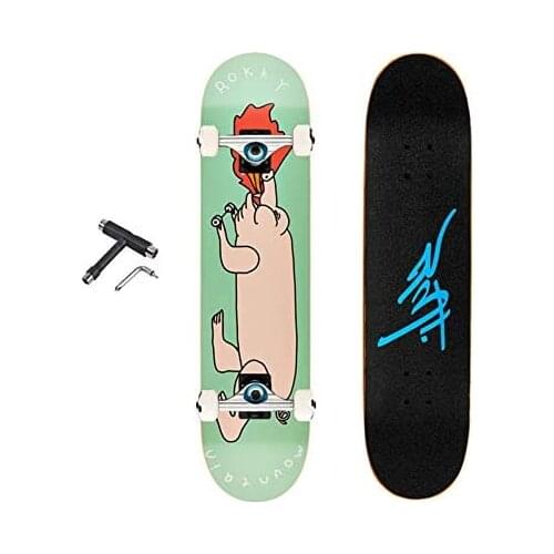 Skateboard Complete 31 Inch Cruiser Skateboard for Beginner with Sturdy Deck Skateboard,Pig