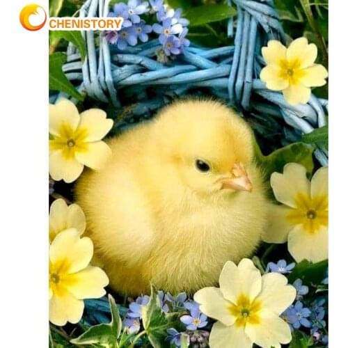 CHENISTORY Yellow Chick Animal Painting By Numbers Kits For Adults Children 40x50cm Frame Modern Home Living Room Decorations