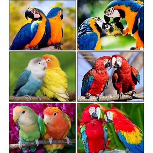 PDMDOG Full Square Diamond Painting Parrot Mosaic Diamond Embroidery Cross Stitch Animals Bird Home Decoration New Year Gift