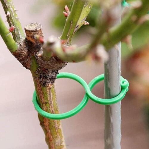 30pcs Garden Plant Holder Trellis Clips For Vine Vegetable New Tomato Growing Upright Garden Plant Stand Tool New Arrival