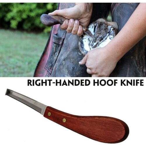 Right Left Double Sided Razor Edge Horse Care Cutting and Scraping
