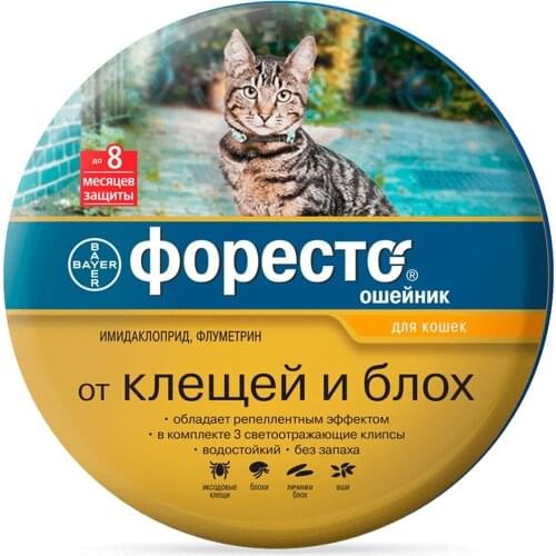 Bayer Products For Cats
