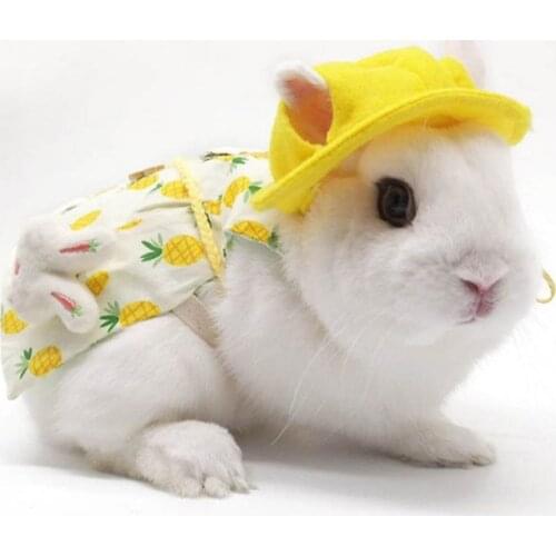 Rabbit Vest Harness Skirt Outdoor Leash Set Rabbit Clothing Suit Button Decor Small Pet Kitten Small Animal Walking Harness