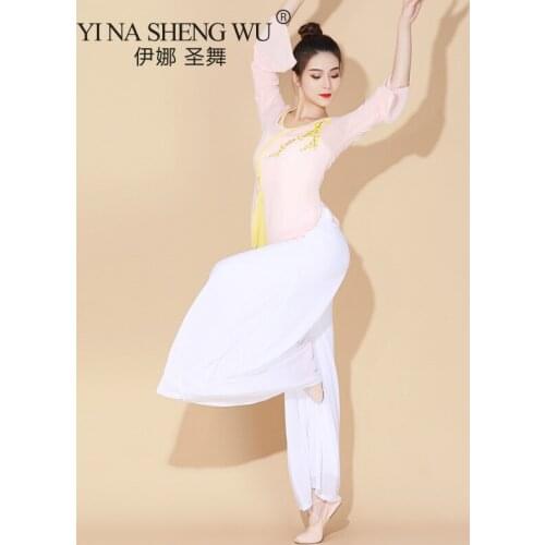 Classical Dance Gauze Summer Body Rhyme Elegant Practice Clothes Top Chinese Dance Dance Clothes Trumpet Sleeve Suit For Women