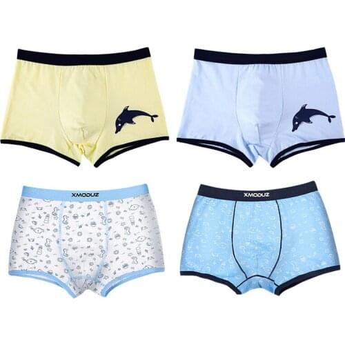 4pieces/lot 2 To 16 Years Boys Underpants 2020 New Autumn Winter Underwears Cotton Boys Panties Cartoon Children Panties,#5697
