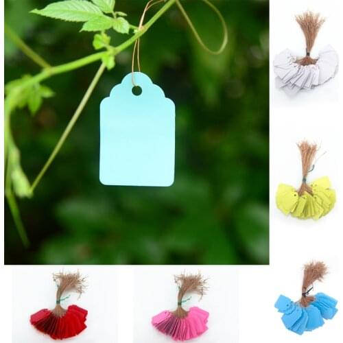 100pcs/set Reusable Plants Hang Tag Labels Seeding Garden Flower Pot Plastic Tags Number Plate Hanging PVC Garden Tools
