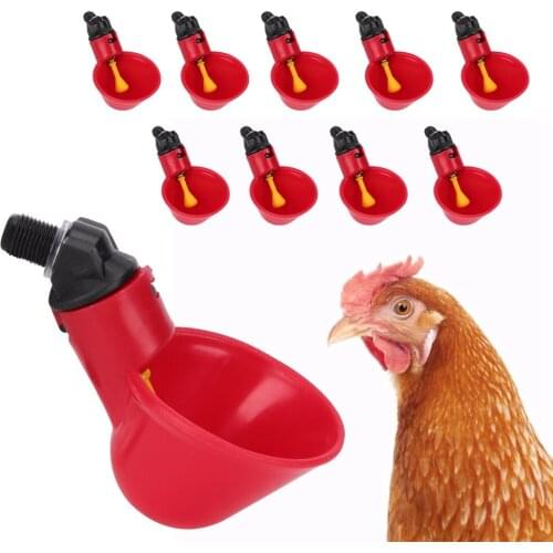 10Pcs Chicken Automatic Drinker Waterer Water Bowl Drinking Water Tool Cage Accessories Breeding Automatic Drinking Bowl